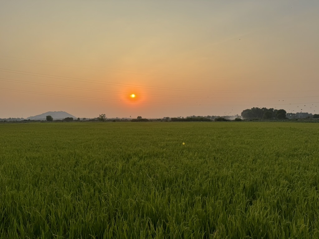 Cambodian sunset