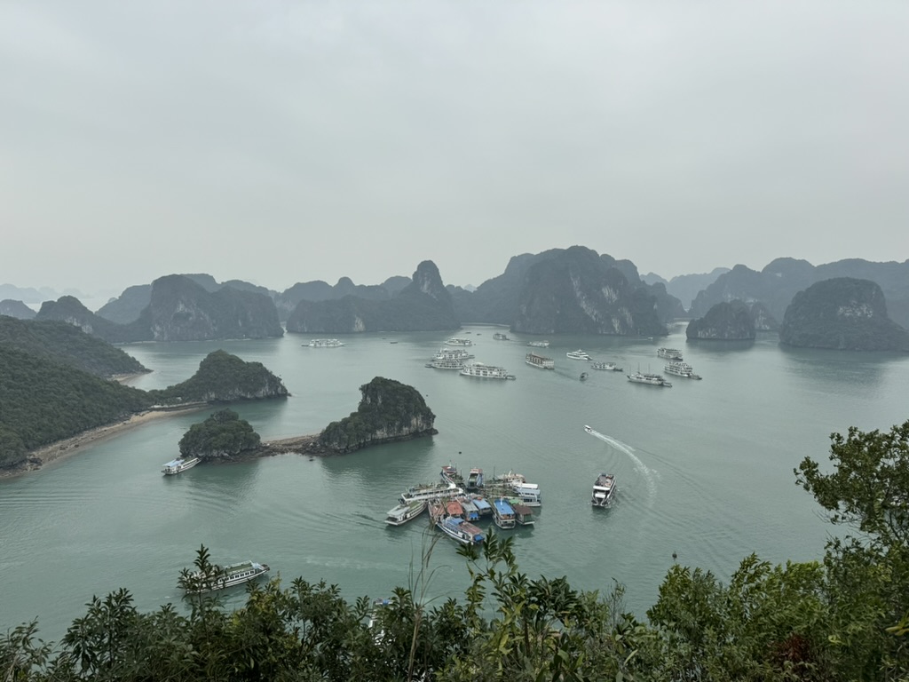 Ha Long Bay Ti Top