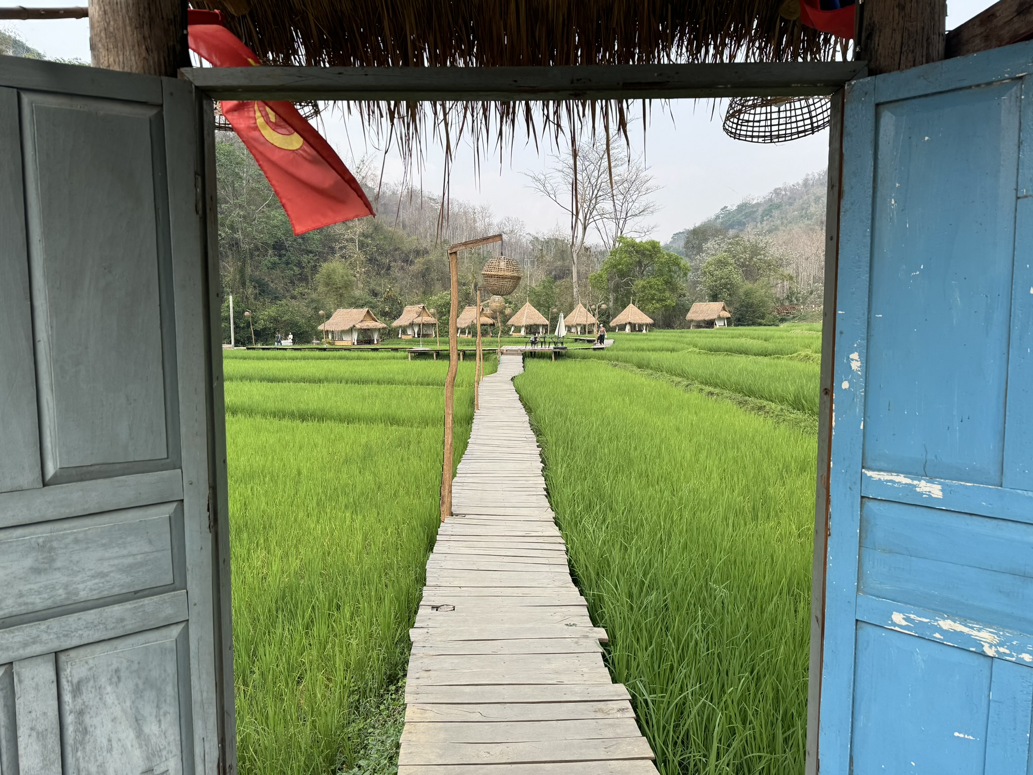 Rice Field Cafe