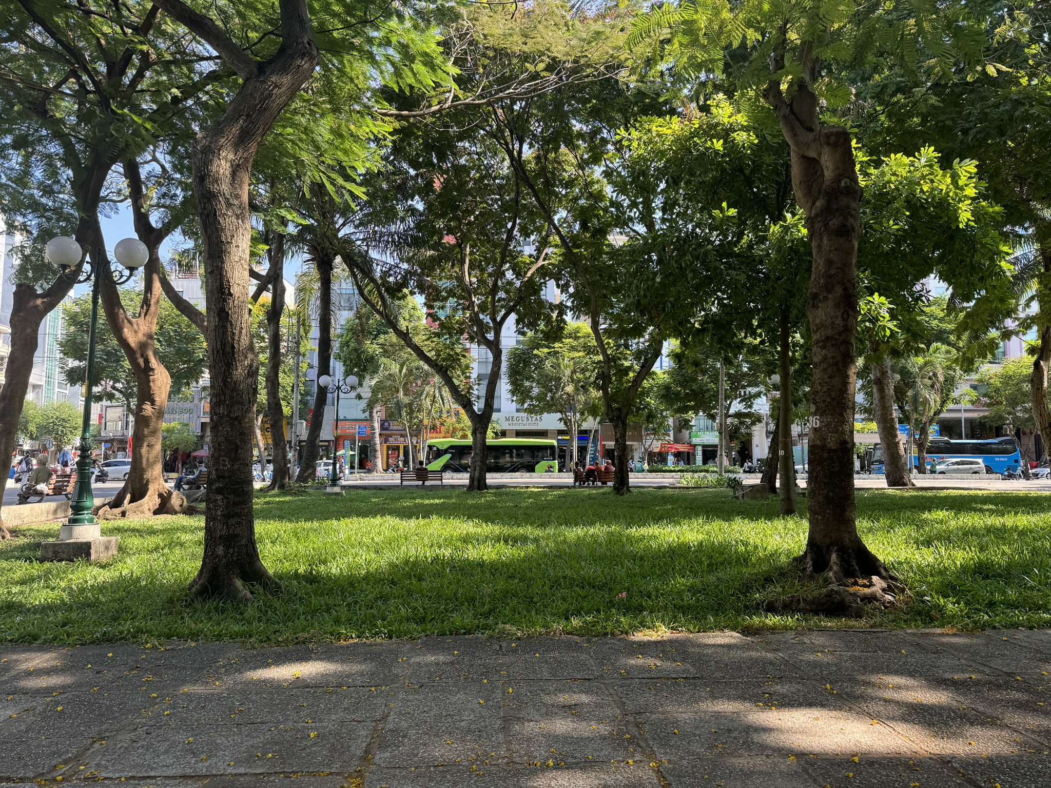 Local Saigon Park