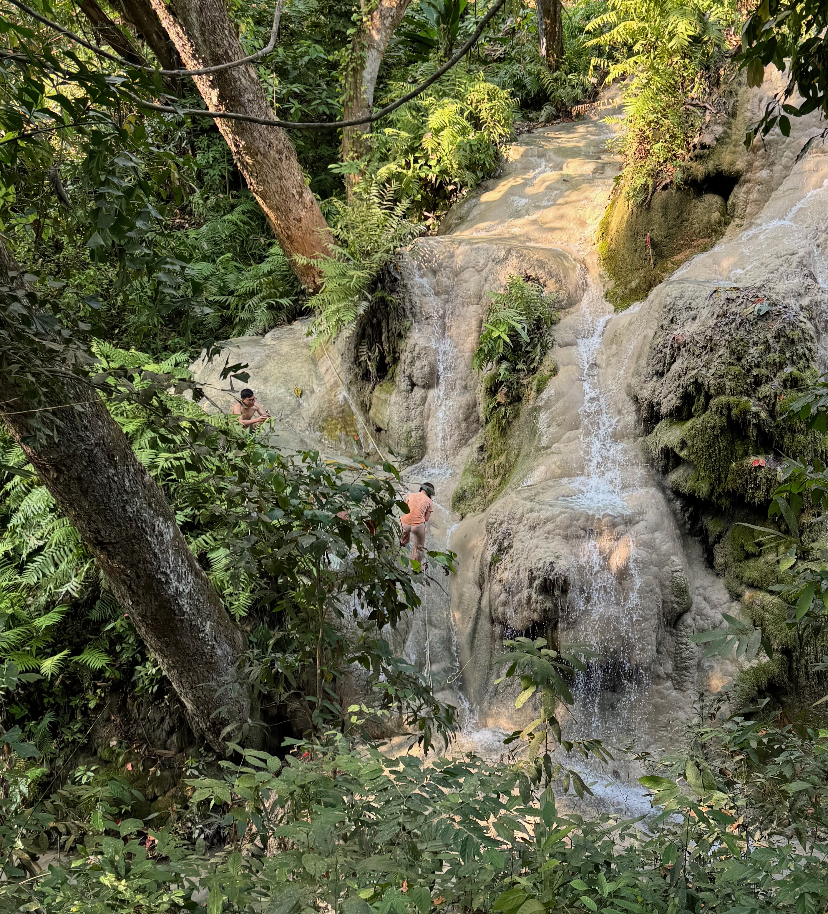 Bua Tong Sticky Waterfalls