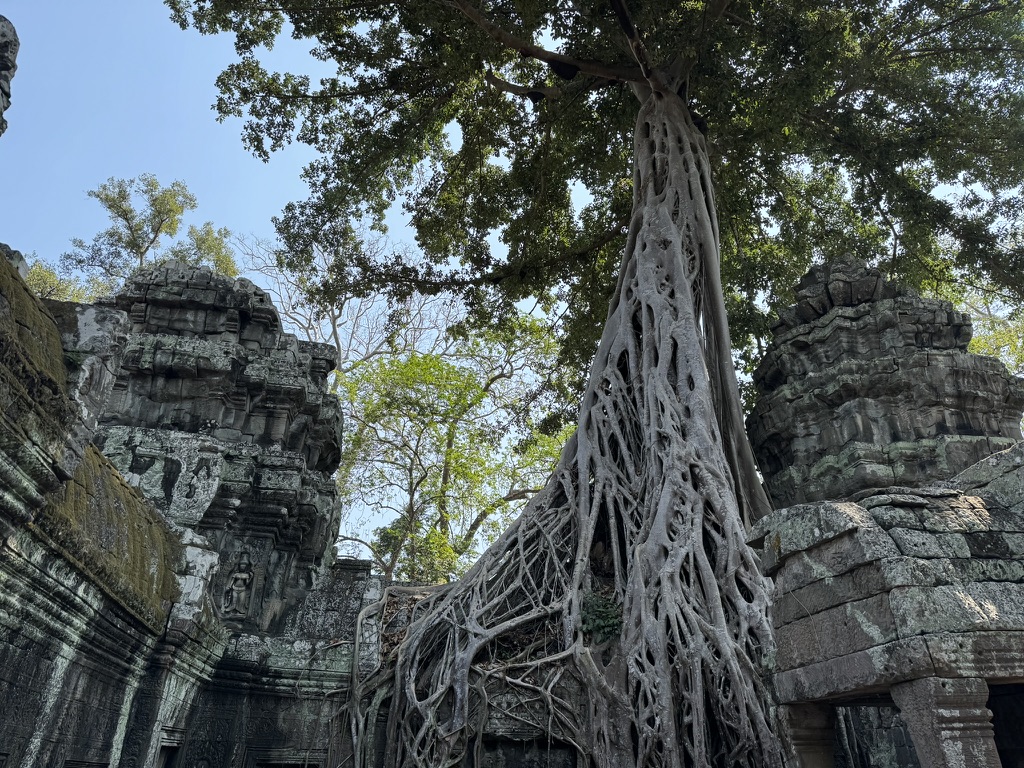 Ta Prohm